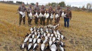 Canada Goose Hunting