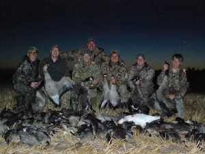 Goose Hunts Ducks Hunts Canada