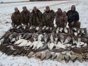 Hunt Canada Goose In Saskatchewan and Alberta