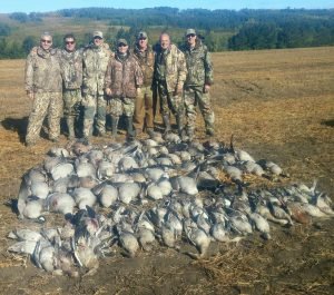 Saskatchewan Goose Hunts