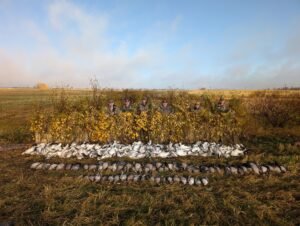 Alberta Canada Waterfowl Hunting