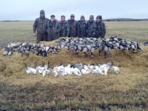 waterfowl hunting in Alberta Canada