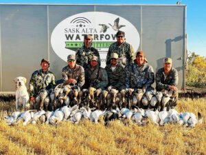 Duck hunting & Goose Hunting Alberta, Canada