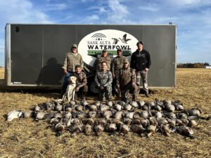 alberta canada duck hunting