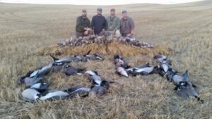 Fall waterfowl hunting in Alberta Canada along major flyways