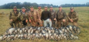 Speckle-Bellied Goose Hunts Alberta Canada