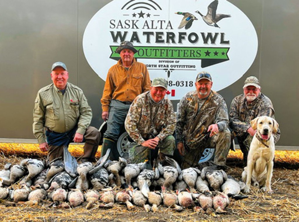 Mixed goose hunt in Alberta Canada with professional guides