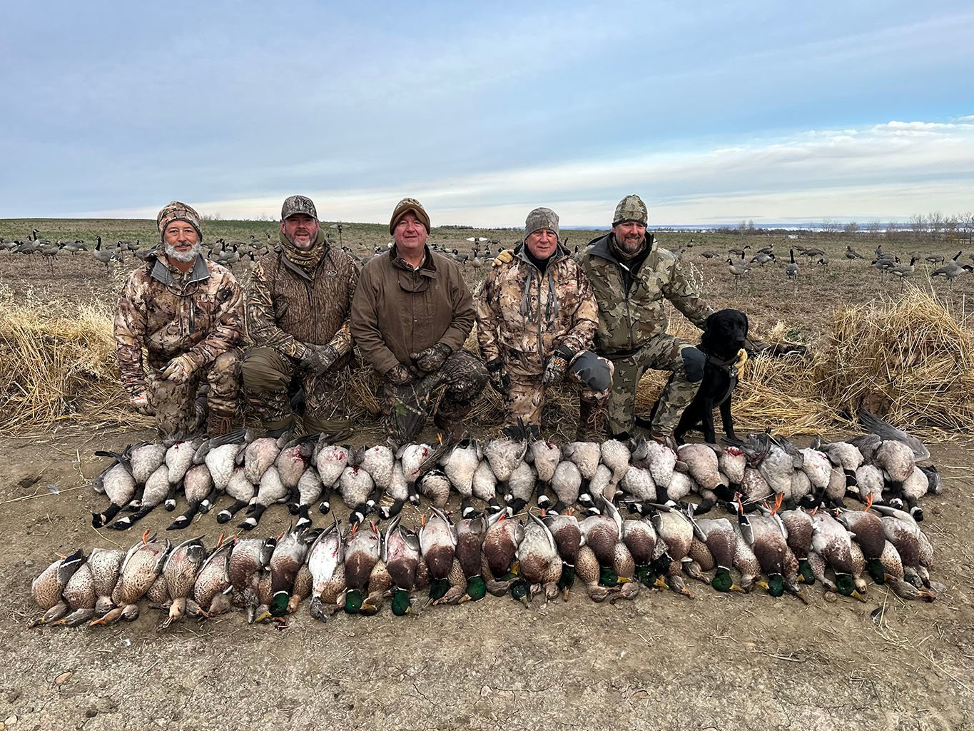 Successful goose hunt and duck hunting alberta Canada